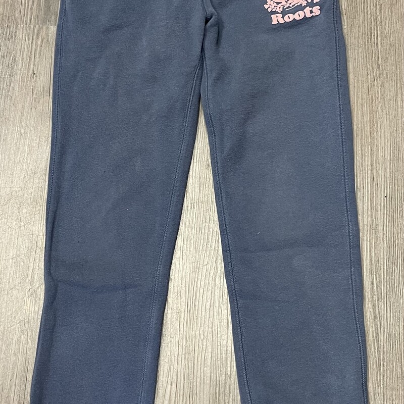 Roots Sweatpants, Blue, Size: 8Y