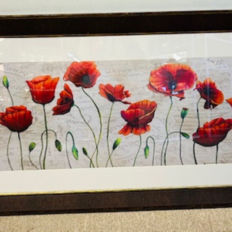 Soft Wind Blowing Poppies Framed Print
Red Green Gray Brown Size: 43 x 20H