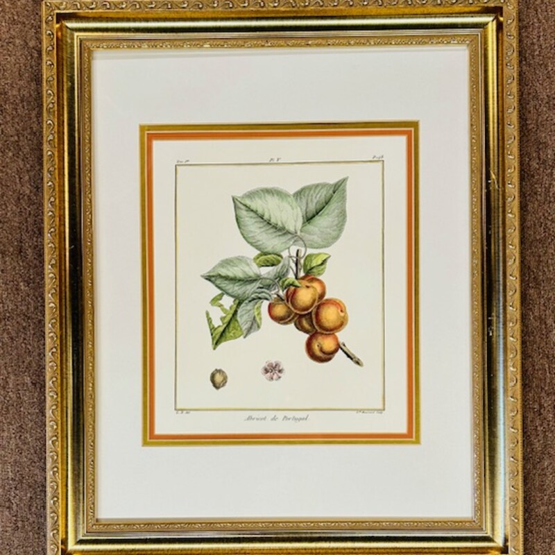 Ornate Apricot Botanical
Gold Orange Green
Size: 19.5 x 24H