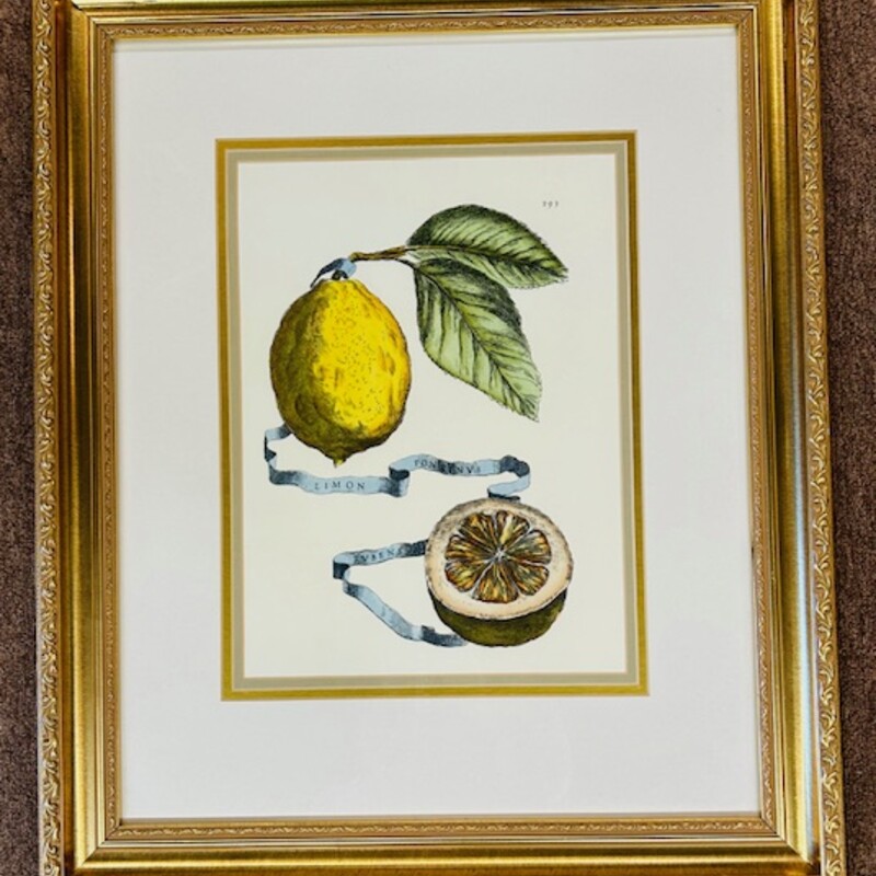 Ornate Lemon Botanical
Gold Green Yellow
Size: 19.5 x 24H