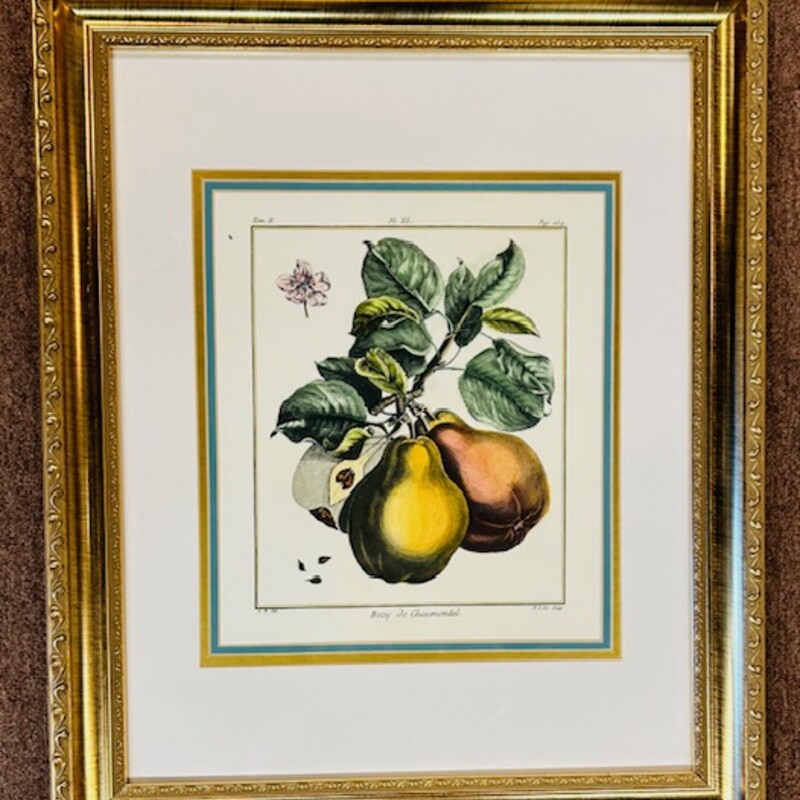 Ornate Pear Botanicall
Gold Green Yellow
Size: 19.5 x 24H