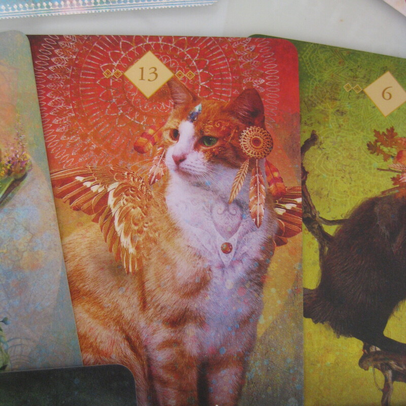 Animal Spirit Oracle Card, Pink, Size: None<br />
Deck of oracle cards, and guide book in a sturdy magnetized box.<br />
The art work in this deck is absolutely exquisite and Carol Barton Reed is a very popular card developer.<br />
<br />
This set is complete and in perfect condition, except that one edge of the box has a little ding.  you can see it in the photo of the back of the box.<br />
I only showed a sample of the cards, but they are all equally beautiful<br />
<br />
Thanks for looking!<br />
#79366