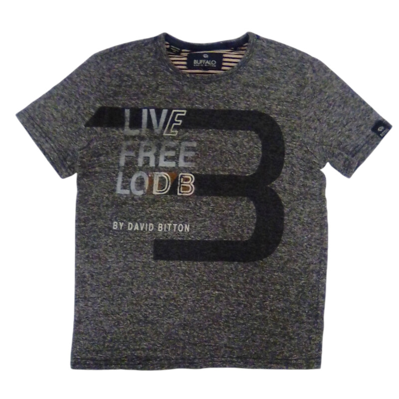 Shirt (Grey/Live Free)