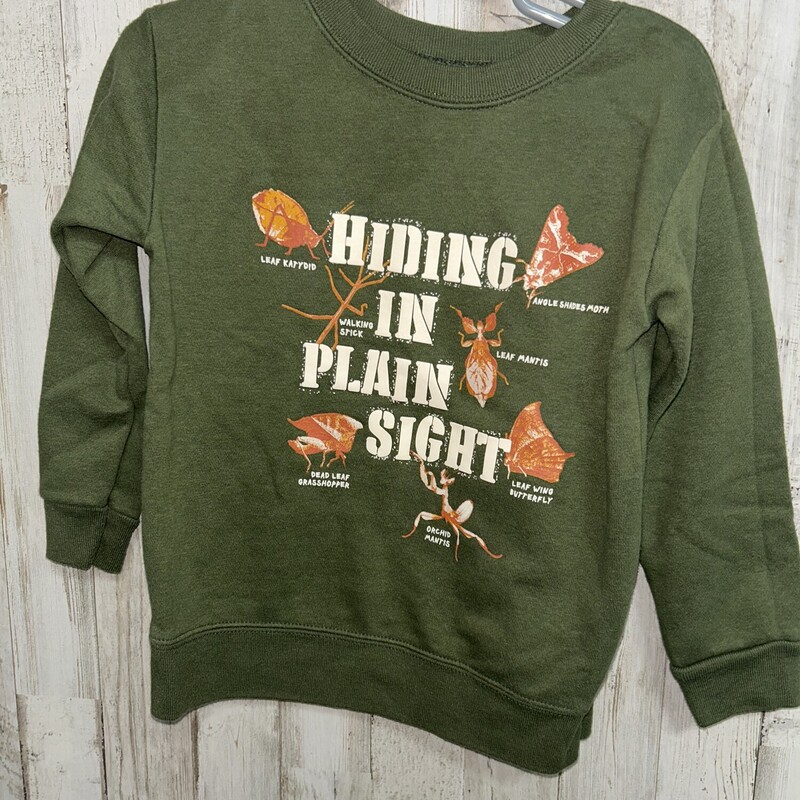 3T In Plain Sight Sweatsh, Green, Size: Boy 2T-4T