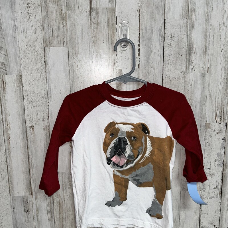 2T Bulldog Raglan Tee, White, Size: Boy 2T-4T