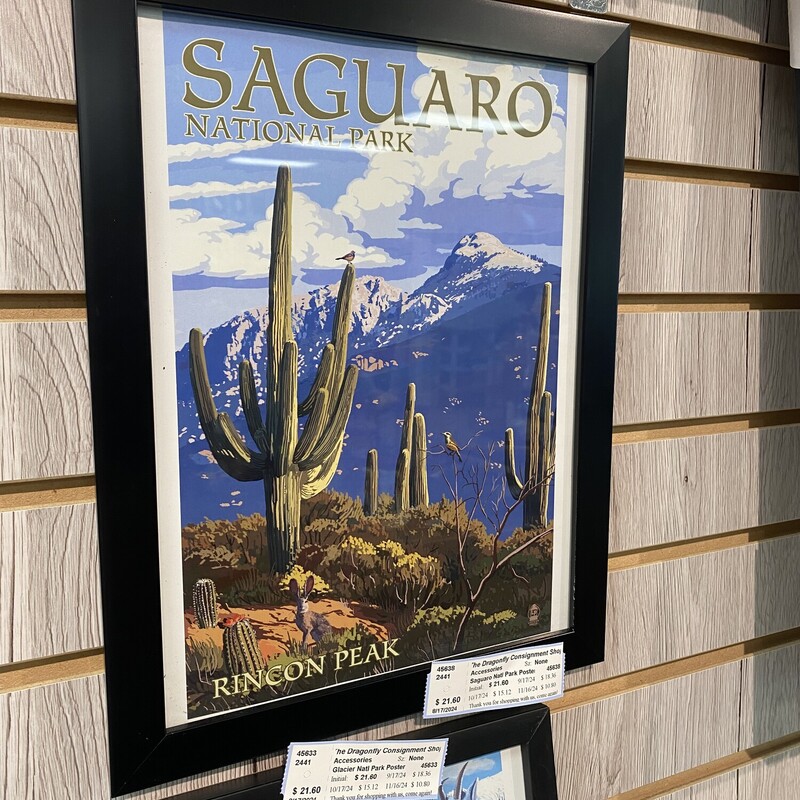 Saguaro Natl Park Poster