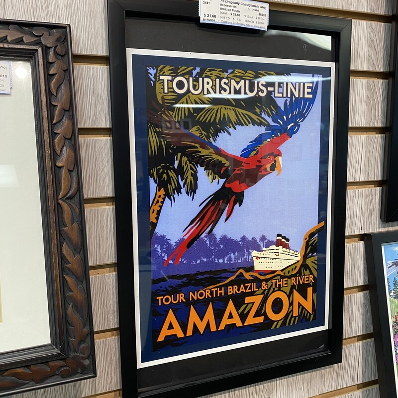 Amazon Poster