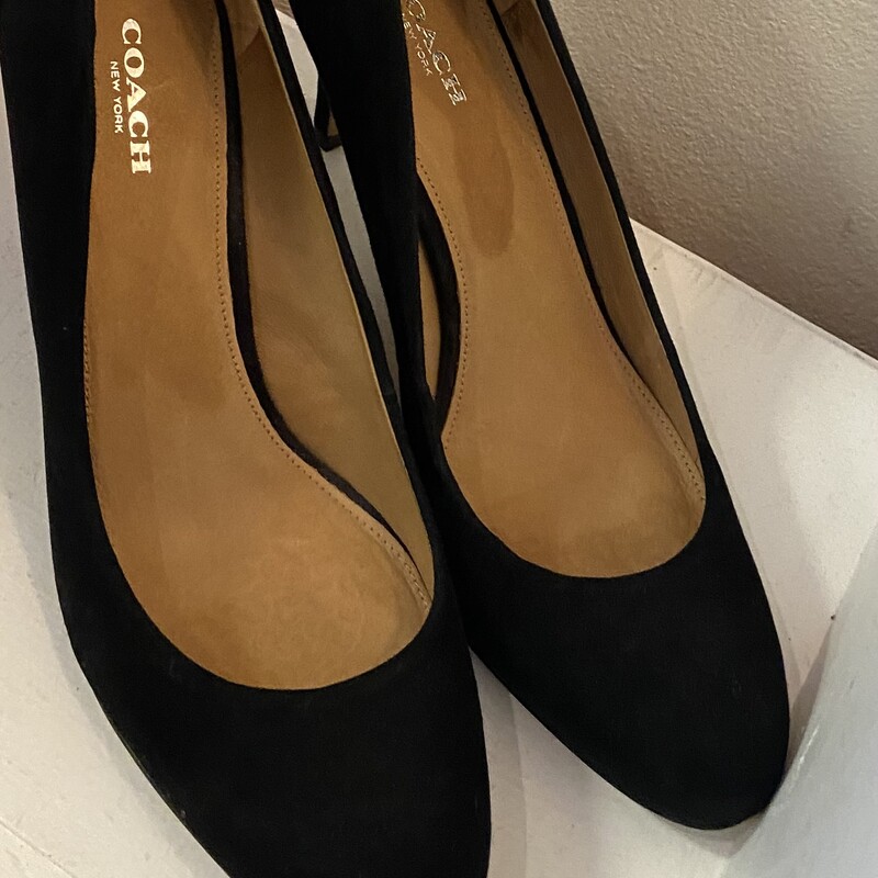 Blk Suede Pumps<br />
Black<br />
Size: 8 AS IS