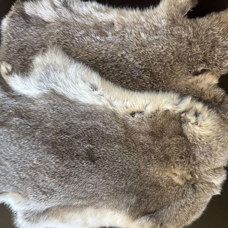 Chinchilla Rabbit Pelts

 Size: 17x12