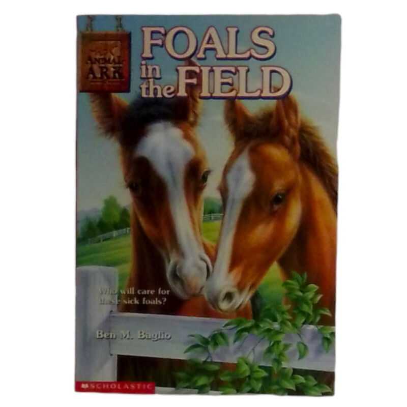 Foals In The Field