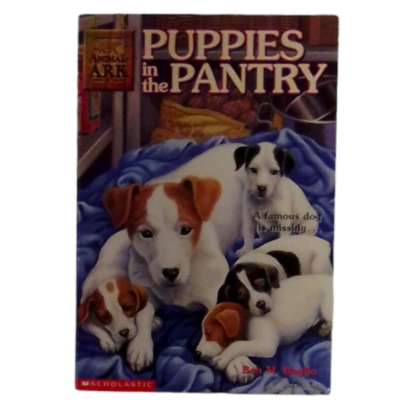 Puppies In The Pantry