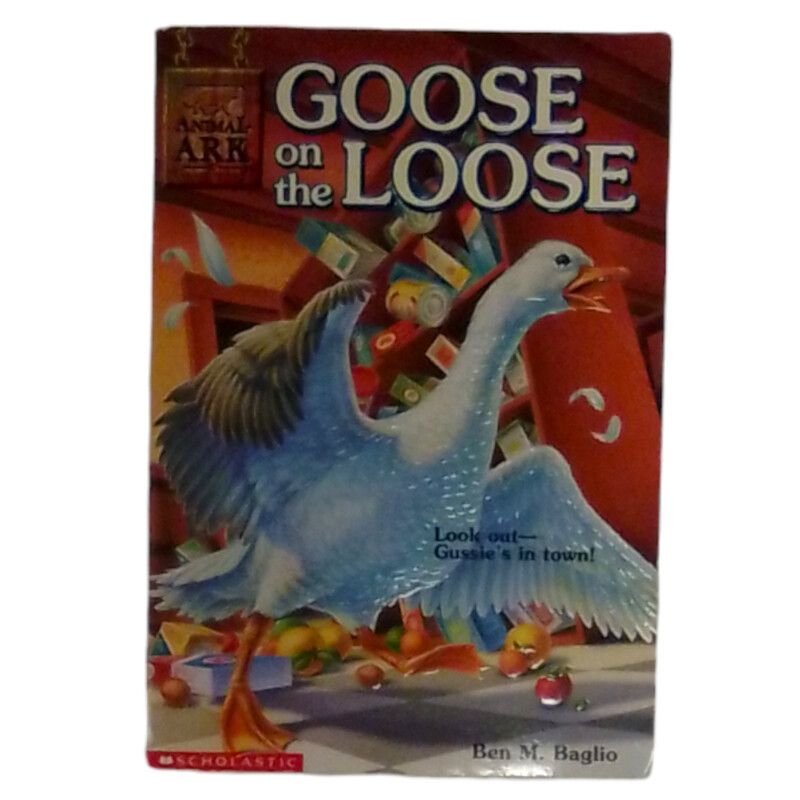 Goose On The Loose