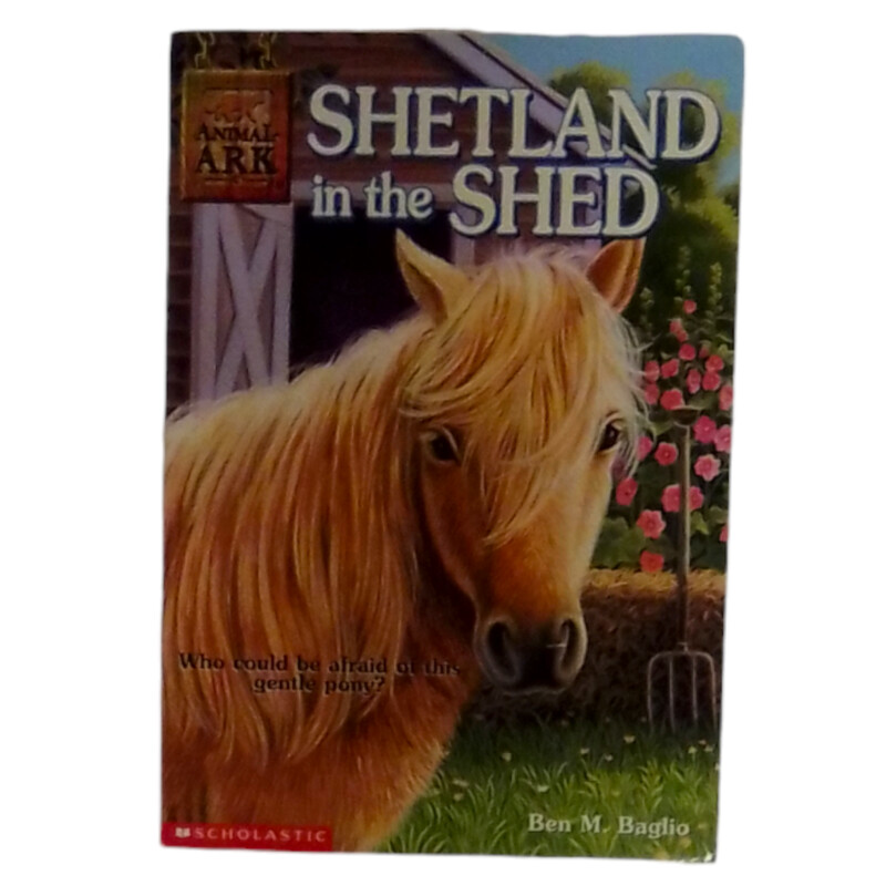 Shetland In The Shed