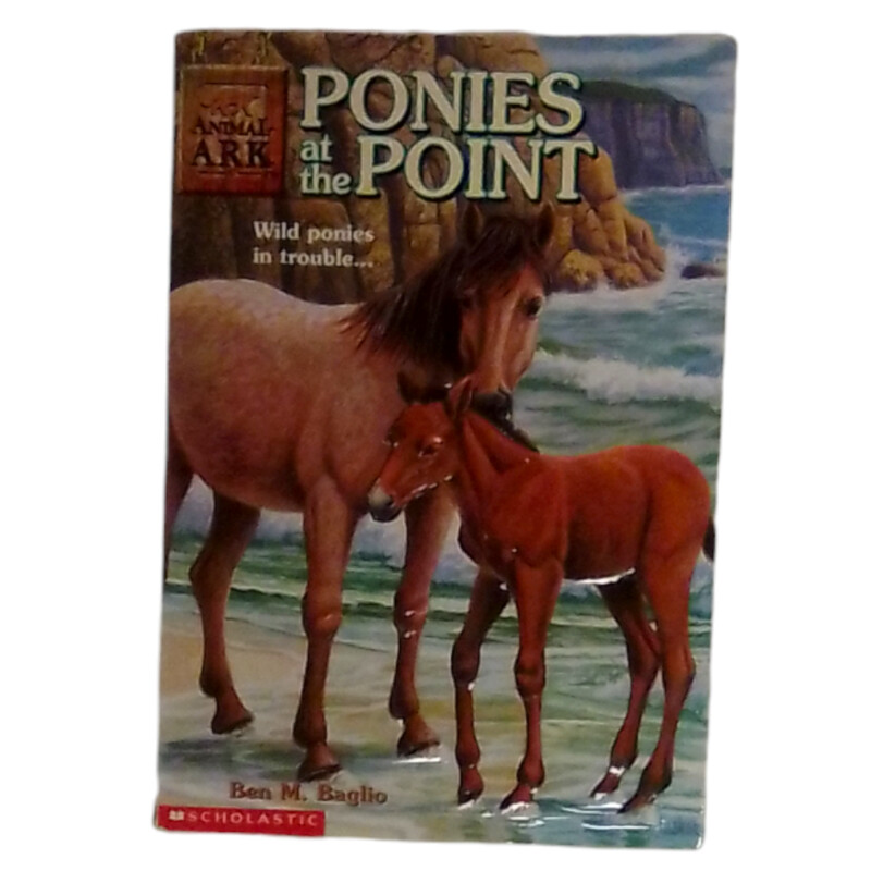 Ponies At The Point