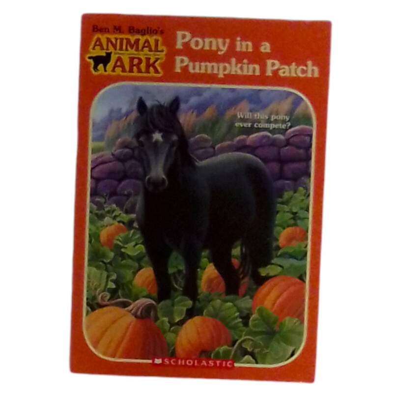 Pony In A Pumpkin Patch