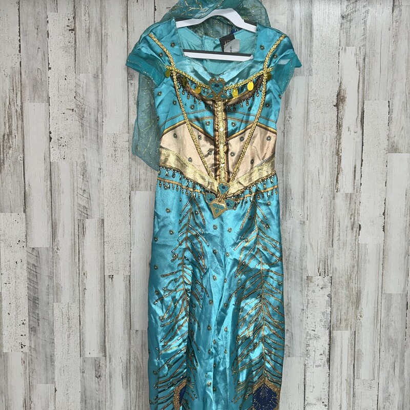 3/4T Teal Jasmine Costume