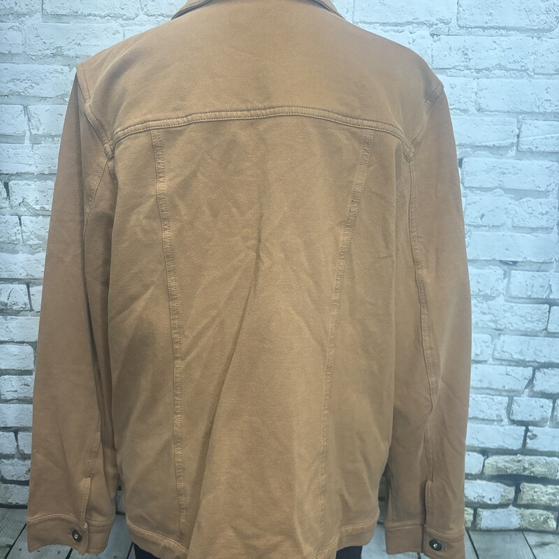 D & Co, Tan, Size: Large