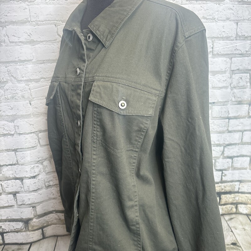 D & Co, Olive, Size: Large