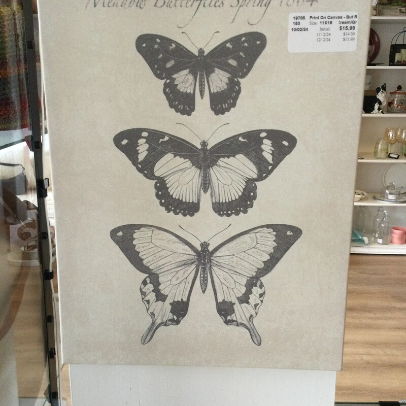 Print On Canvas - Butterf, Cream/Grey, Size: 11X15