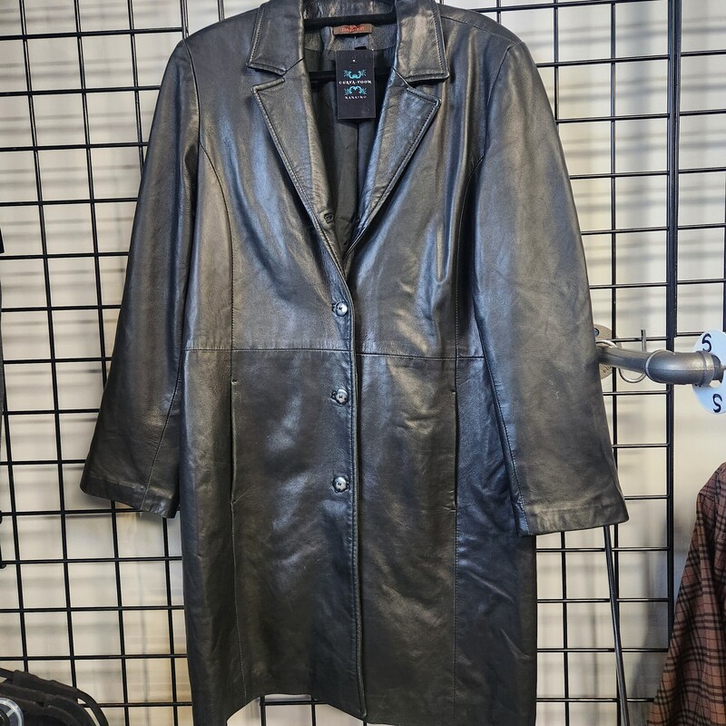 Danier Leather Coat