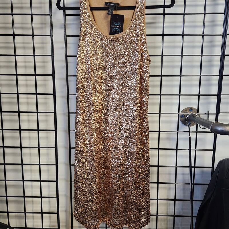 Inc Sequin Dress