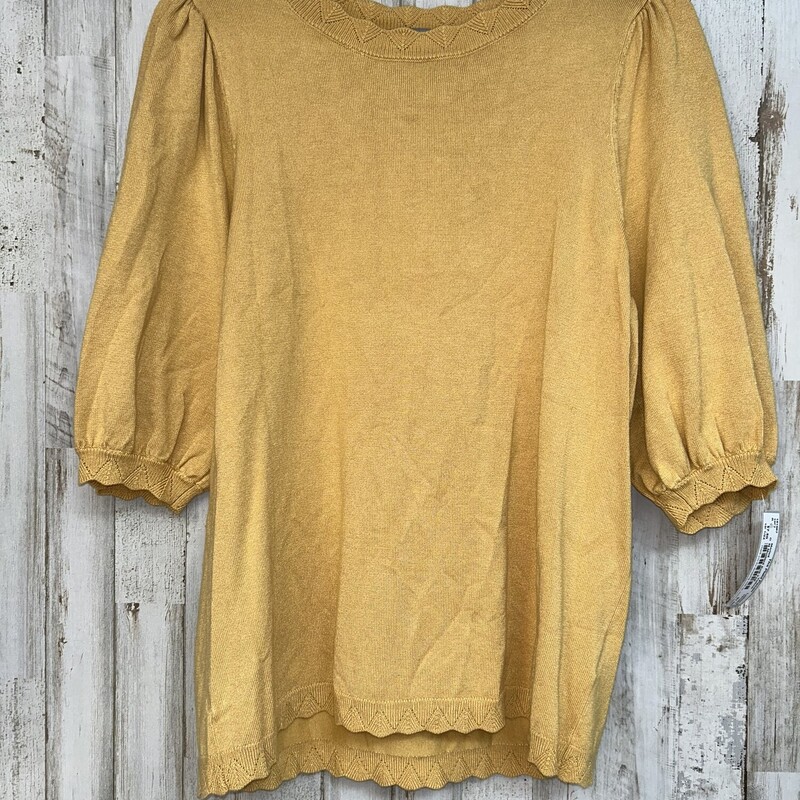 M Mustard Knit Top