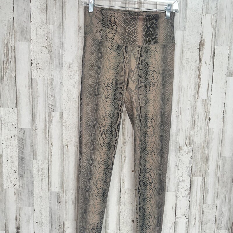 S Tan Snakeprint Leggings, Tan, Size: Ladies S