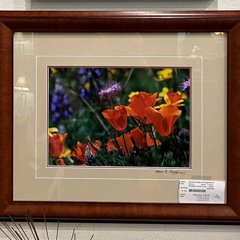 Mangelsen Flower Photo, Signed, Framed
24in x 20in