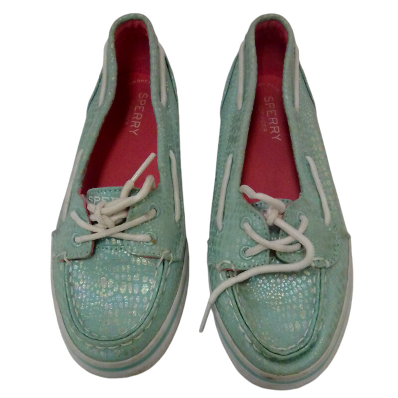 Shoes:teal/silver