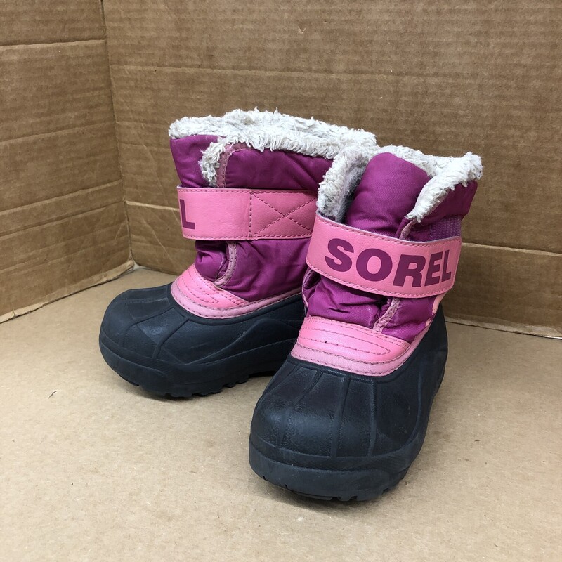 Sorel