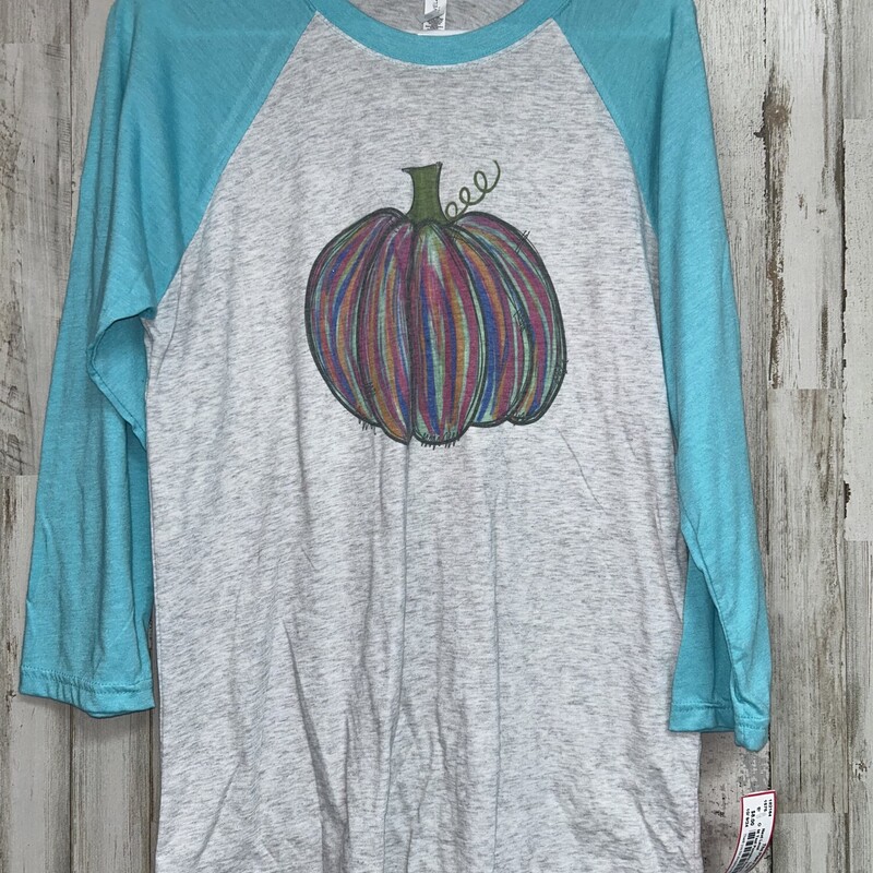 M Teal Pumpkin Raglan