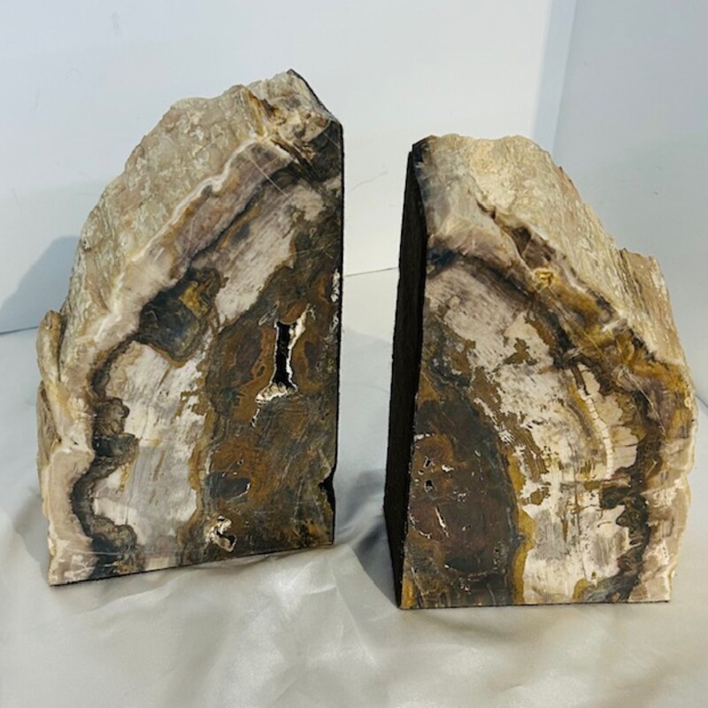 Petrified Wood Bookends
Brown Tan Cream
Size: 5x3x8H
This is an amazing set Petrified Wood bookends from the Pacific Northwest with a very unique design.