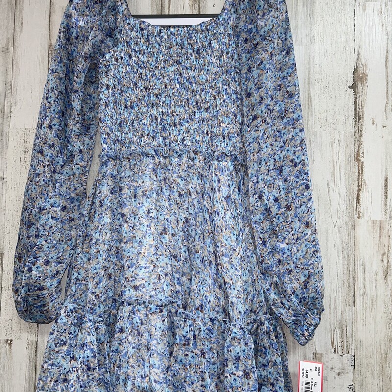 6 Sheer Blue Floral Dress