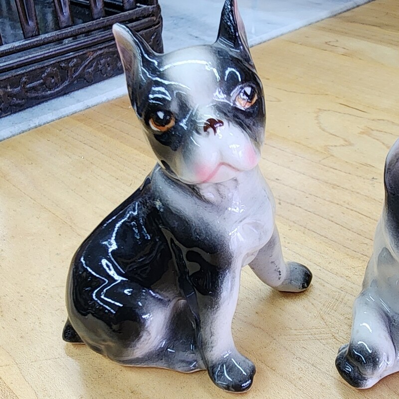 VTG Dog Salt & Pepper, Boston Terrier / French Bulldog / Frenchie