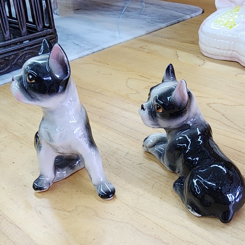 VTG Dog Salt & Pepper, Boston Terrier / French Bulldog / Frenchie