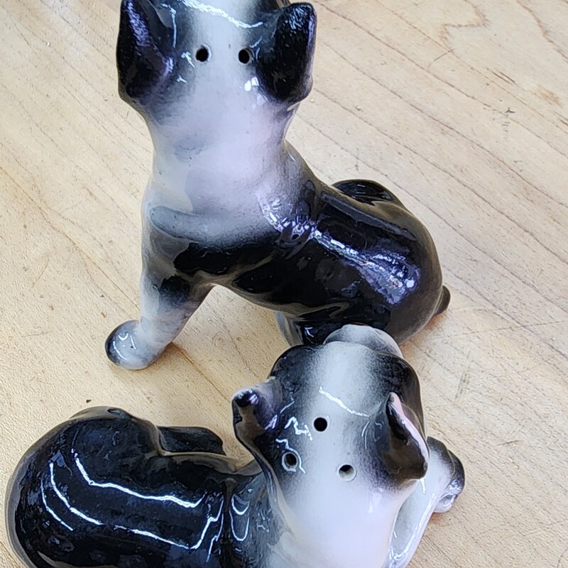 VTG Dog Salt & Pepper, Boston Terrier / French Bulldog / Frenchie