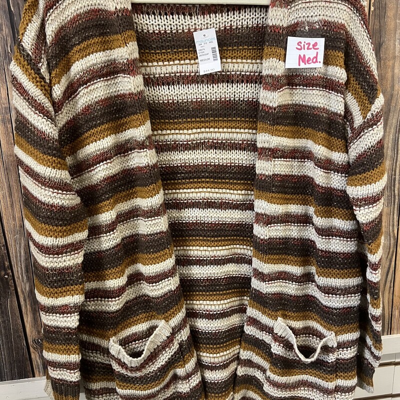 Nwt Fall Stripe Sweater