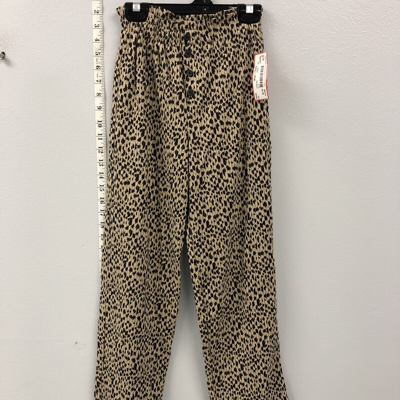 Zara, Size: 10, Item: Pants