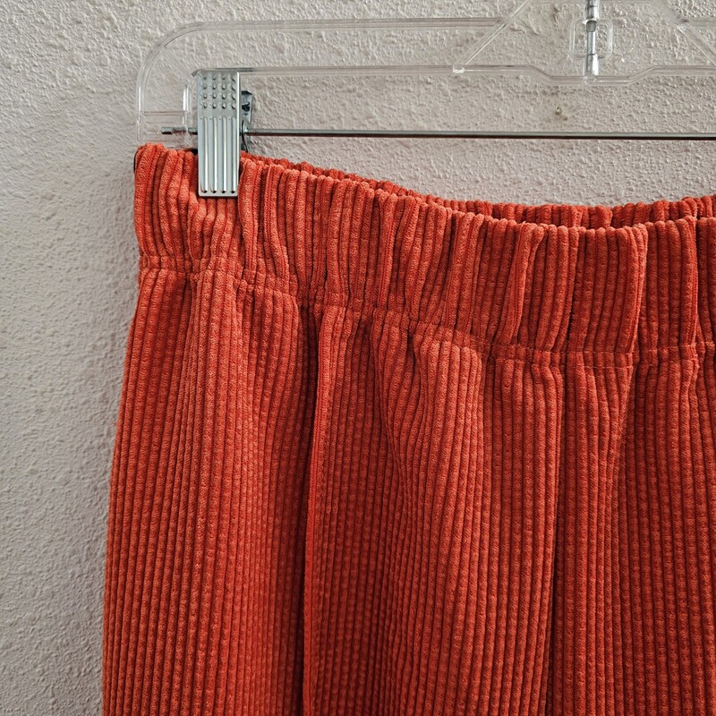 BDG (Urban Outfitters), Orange, Size: L/NWt