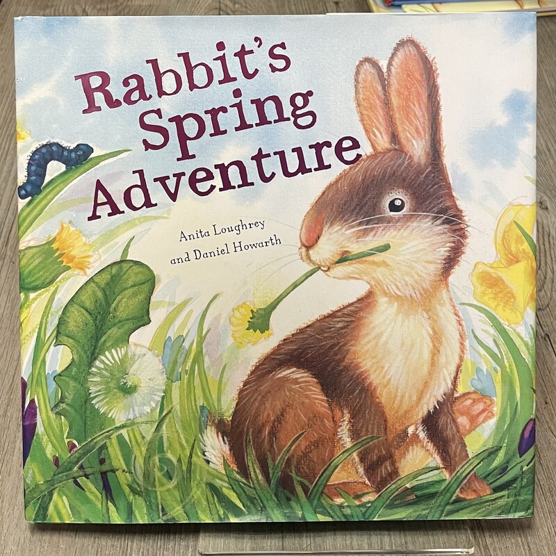 Rabbits Spring Adventure, Multi, Size: Hardcover