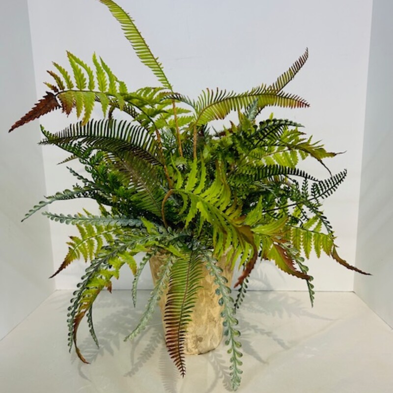 Fern In Distressed Pot
Green Brown Tan Size: 16 x 17H