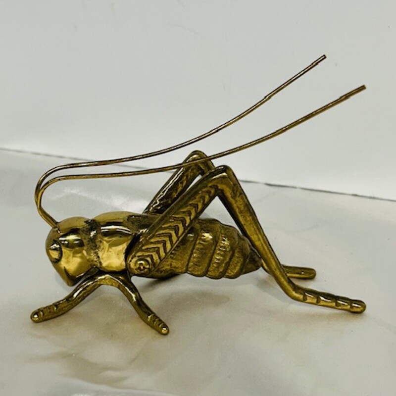 Brass Grasshopper