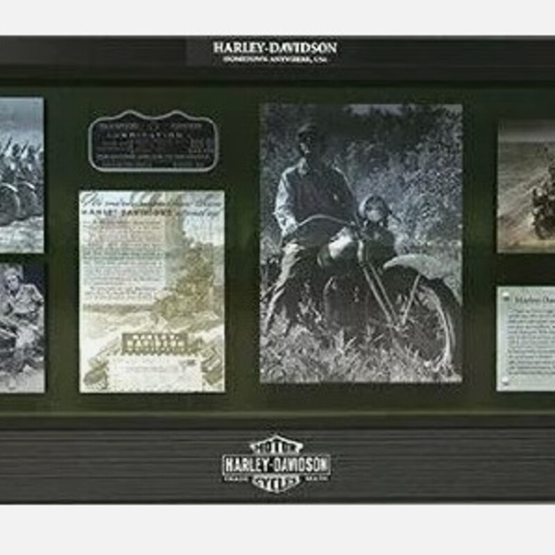 HarleyDavidsonShadowBox