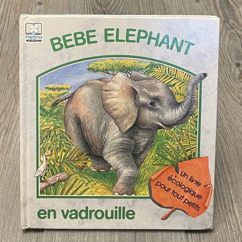 Bebe Elephant