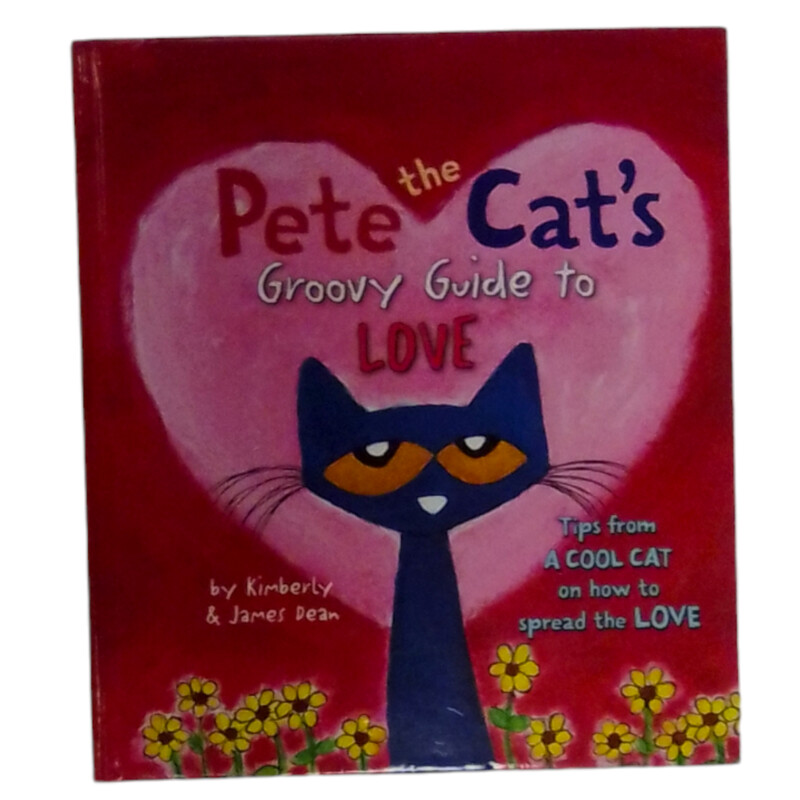 Pete The Cats Groovy Guid