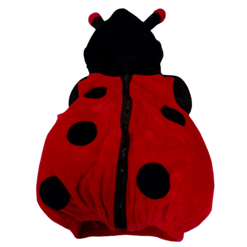 Lady Bug