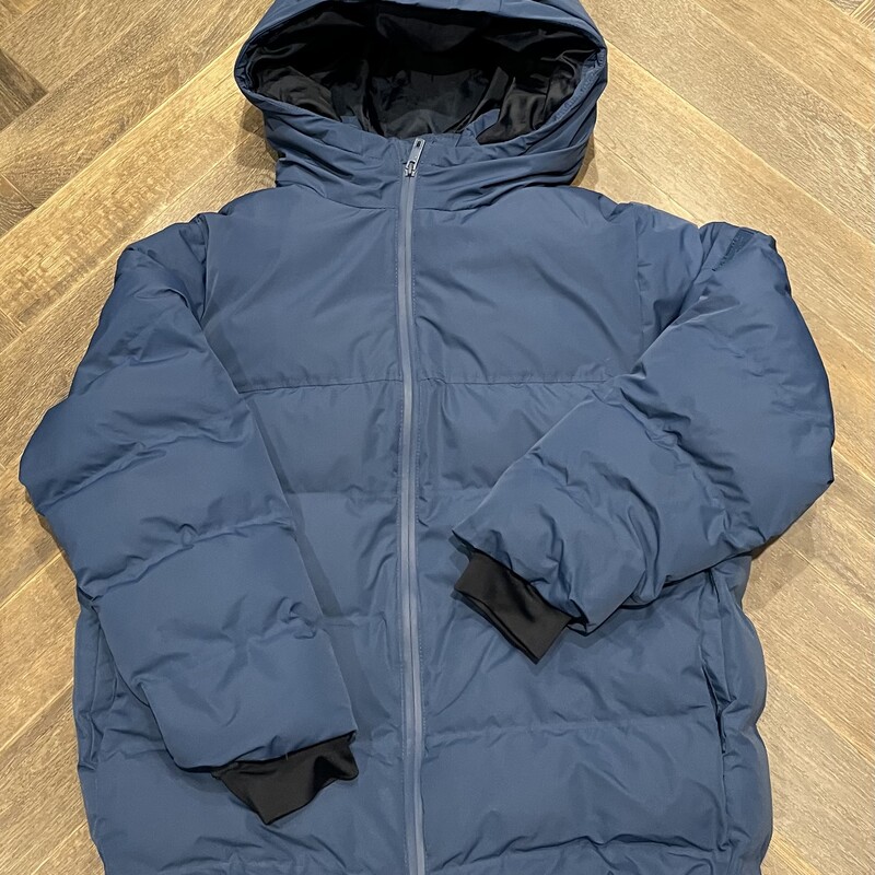 Zara Winter Coat