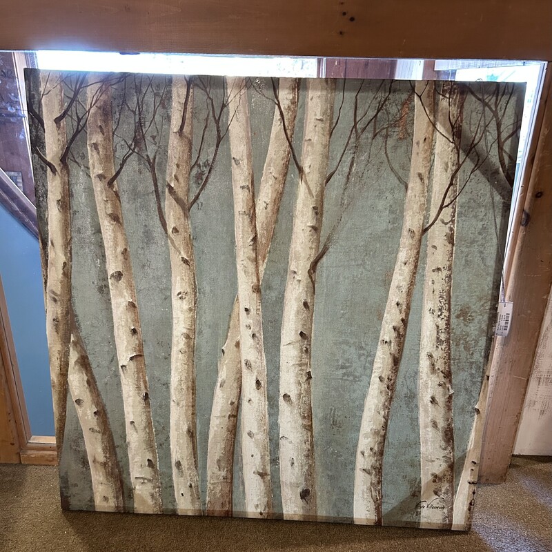 Birch Trees On Canvas