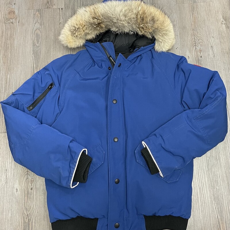 Canada Goose Chilliwack B