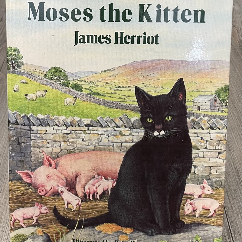 Moses The Kitten, Multi, Size: Hardcover